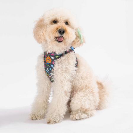 Pawstar Gögüs Tasması Dino Air Mesh S paw-a13