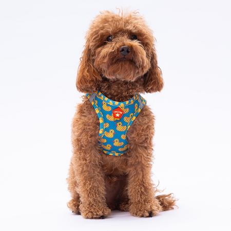 Pawstar Gögüs Tasması Ducks Air Mesh M paw-a28