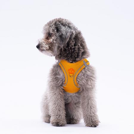 Pawstar Gögüs Tasması Gold Air Mesh S paw-a07