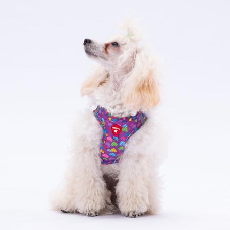 Pawstar Gögüs Tasması Hearts Air Mesh S paw-a23