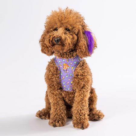 Pawstar Gögüs Tasması Ice Cream Air Mesh S paw-a19