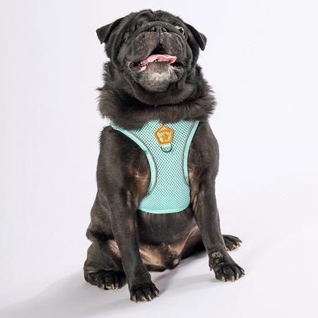 Pawstar Gögüs Tasması Mint Air Mesh M paw-a09