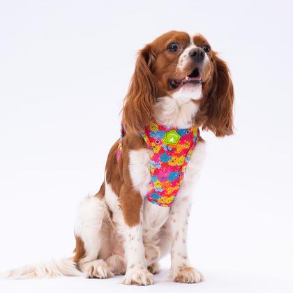 Gögüs Tasması Monsters Air Mesh XS paw-a29