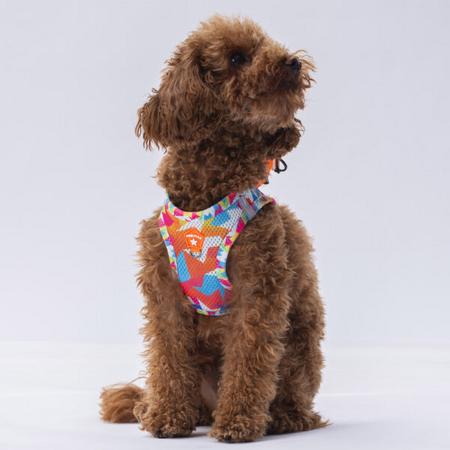 Pawstar Gögüs Tasması Mosaic Air Mesh S paw-a26 