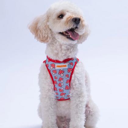 Göğüs Tasması Mushroom Air Mesh XS beden Paw-A36