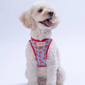 Göğüs Tasması Mushroom Air Mesh S Paw-A36