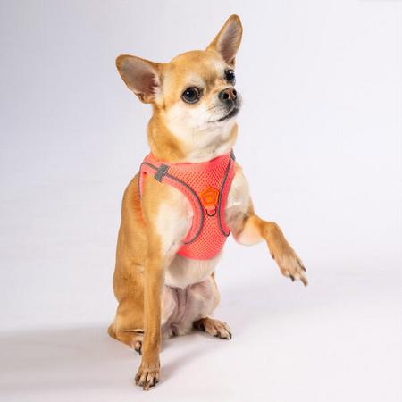 Pawstar Gögüs Tasması Neon Pink Air Mesh Xs paw-a03xs