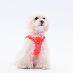 Pawstar Gögüs Tasması Neon Pink Air Mesh S paw-a03