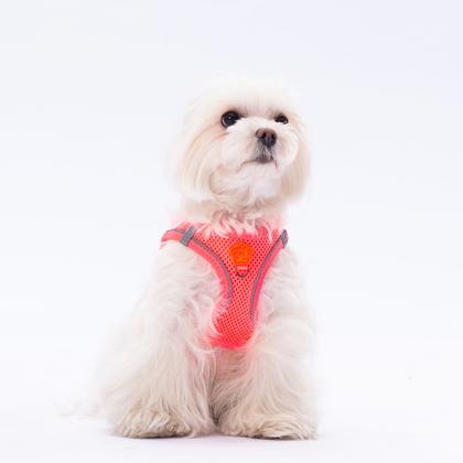 Pawstar Gögüs Tasması Neon Pink Air Mesh S paw-a03