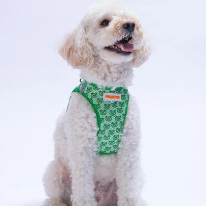 Göğüs Tasması Frog Air Mesh L Paw-A33