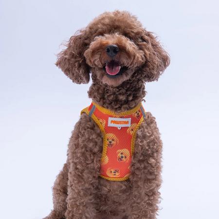 Göğüs Tasması Poodle Air Mesh S Paw-A31