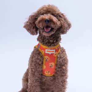 Göğüs Tasması Poodle Air Mesh M Paw-A31