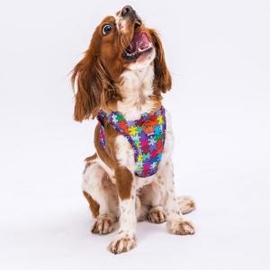 Pawstar Gögüs Tasması Puzzle Air Mesh S paw-a17