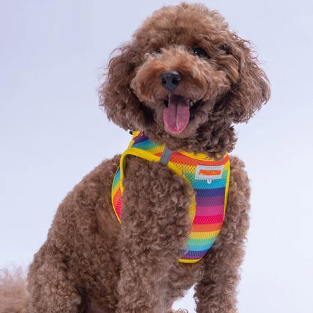 Göğüs Tasması Rainbow Air Mesh S Paw-A34