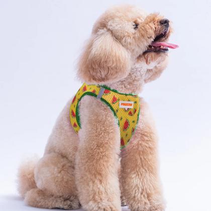 Göğüs Tasması Watermelon Air Mesh 2XS Paw-A32