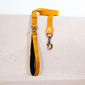 Pawstar Gold Sevk Kayışı L07 