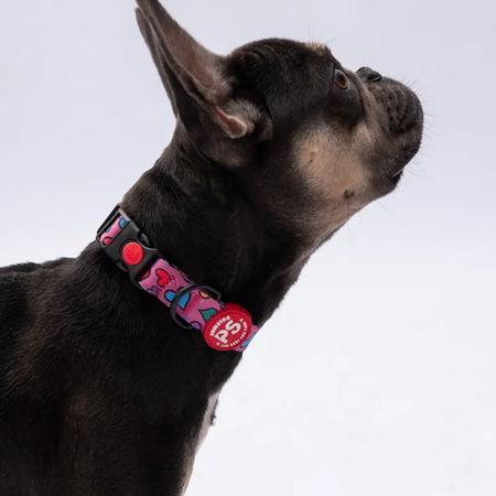 Hearts Boyun Tasması M Beden  - DC23