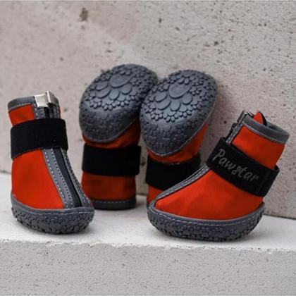 Kırmızı Köpek Ayakkabısı PDS09  NO 4