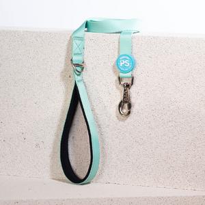 Pawstar Mint Sevk Kayışı L09