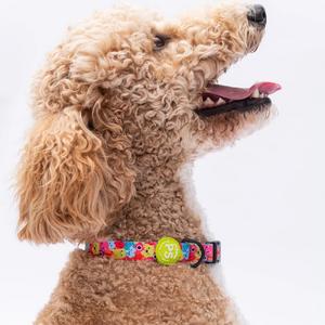 Monsters Boyun Tasması M Beden - DC29