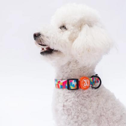 Mosaic Boyun Tasması  M Beden - DC26