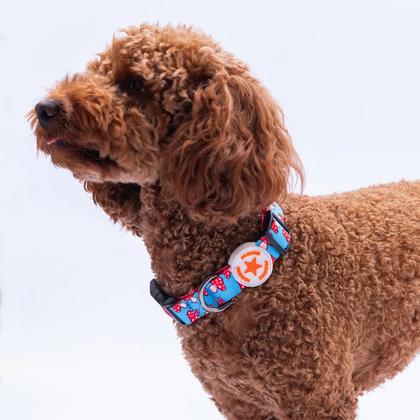 Mushroom Boyun Tasması M Beden - DC36