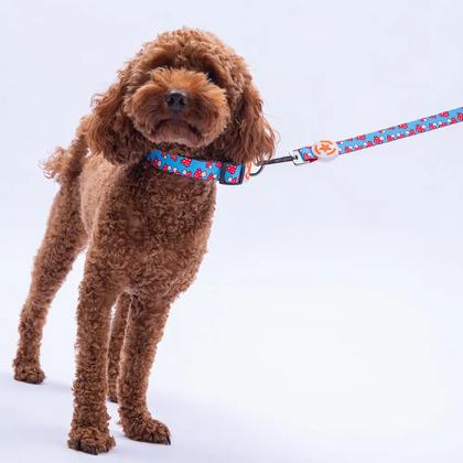 Mushroom Boyun Tasması S Beden - DC36