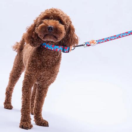 Mushroom Boyun Tasması S Beden - DC36