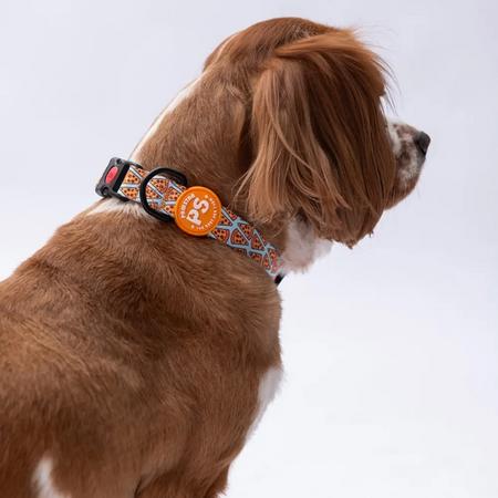 Pizza Boyun Tasması M Beden - DC15