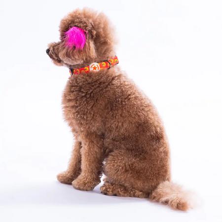 Poodle Boyun Tasması S Beden - DC31