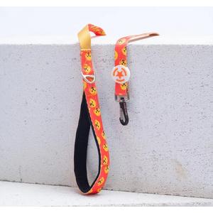 Pawstar Poodle Sevk Kayışı L31