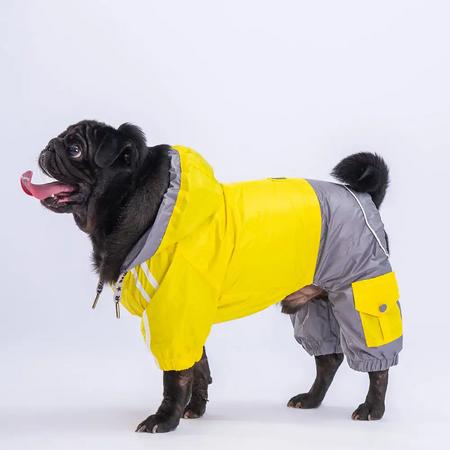 Pawstar Sarı-Gri Bicolor Yağmurluk Tulum M KPAW23517 