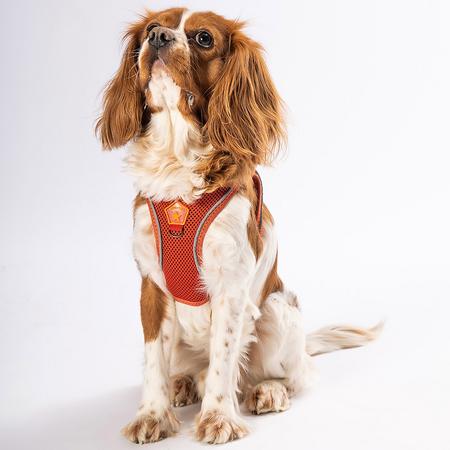 Pawstar Soft Gögüs Tasması Kiremit   XL paw-a11