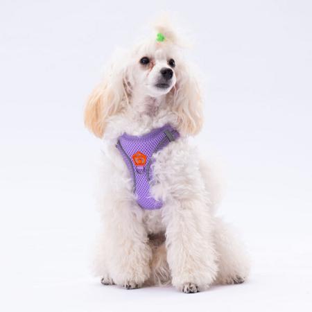 Pawstar Soft Gögüs Tasması Lila M paw-a10M