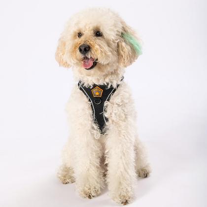 Pawstar Soft Gögüs Tasması Siyah S beden PAW-a04