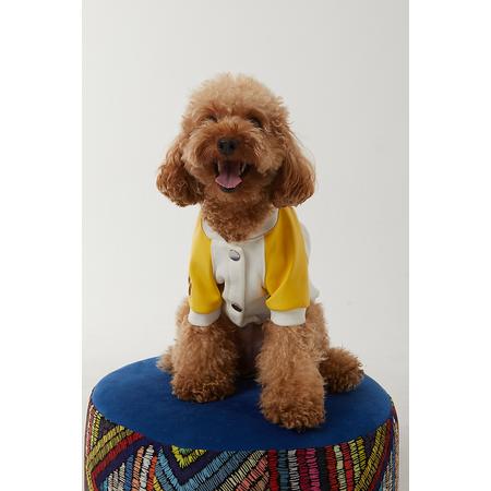 pet elegante collage ceket xl sarı