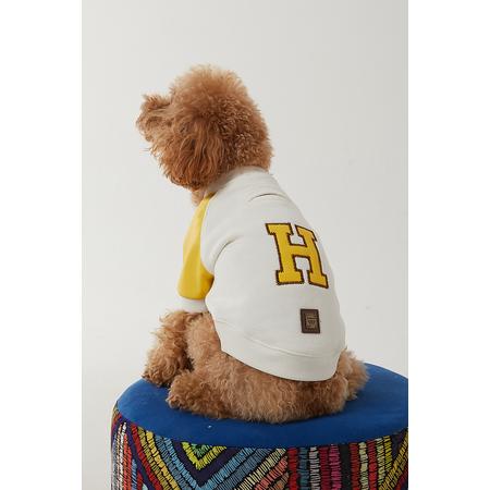 pet elegante collage ceket xxl sarı