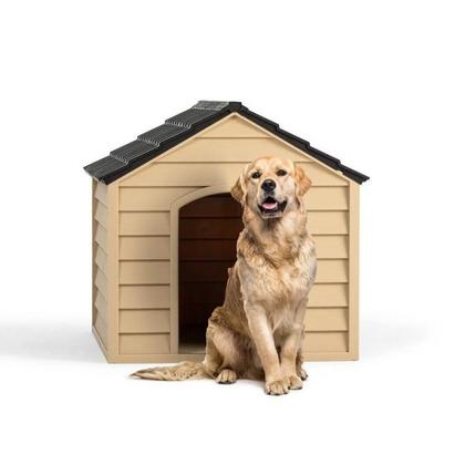 Plastik Köpek Bahçe ve Dış Mekan Gövde Şampanya Çatı Bitter SNY-5100