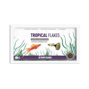 Reeflowers Tropical Flakes Pul Balık Yemi 6gr