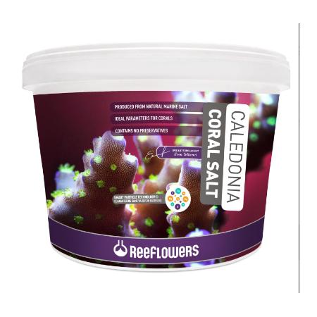 rfl CALEDONİA CORAL SALT 6,5 KG
