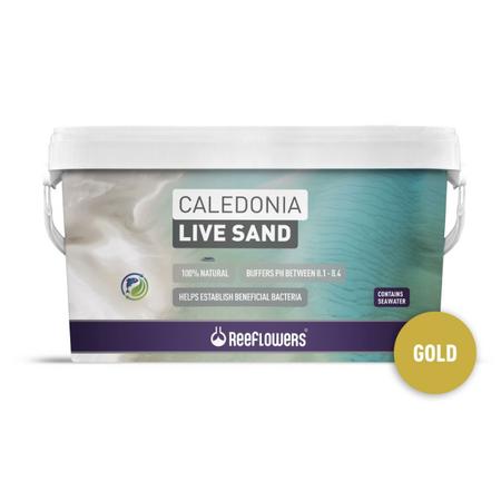 rfl CALEDONİA LİVE SAND - GOLD 18 KG