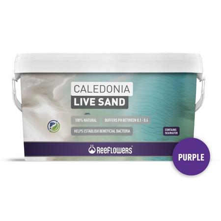 rfl CALEDONİA LİVE SAND - PURPLE 18 KG