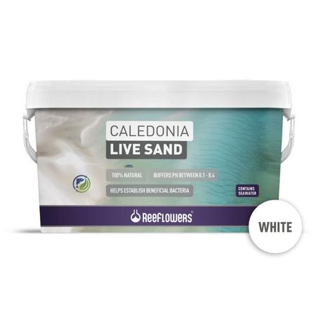 rfl CALEDONİA LİVE SAND - WHİTE 18 KG
