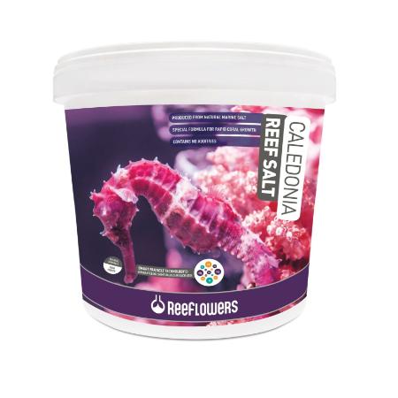 rfl CALEDONİA REEF SALT 6.5 kg
