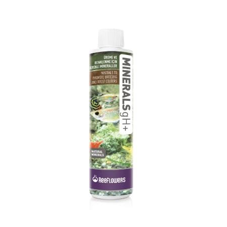 rfl MİNERALS GH+ 250 ML