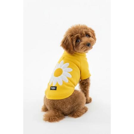 Sarı Hakim Yaka Comfort Fit Köpek Sweat Ceketi (WarmFlex Koleksiyonu) M Beden 