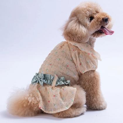 Sarı Valencia Elbise  2XL Spaw-25301