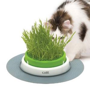 Senses 2.0 Grass Planter Kedi Çimi Seti