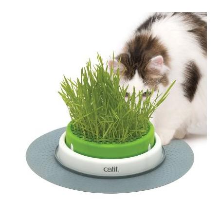 Senses 2.0 Grass Planter Kedi Çimi Seti