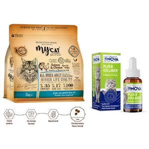 Somon Balıklı ve Tavuk Etli Yetişkin Kediler İçin  Tüy Sağlığı Paketi